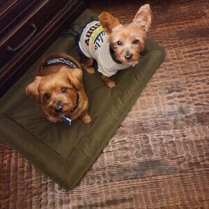 Meet your Posher, Patty